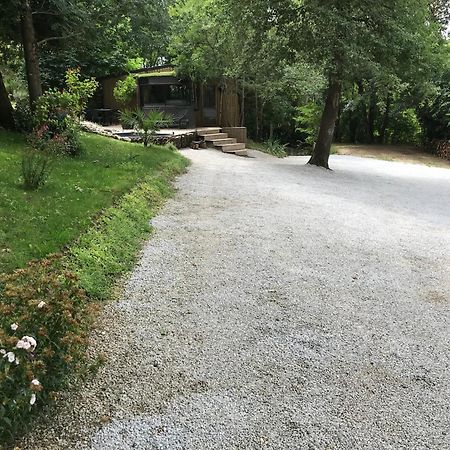 Bus Atypique Au Bord Du Canal Du Midi Et Au Coeur D'Une Foret 2 Chambres Villepinte  Экстерьер фото