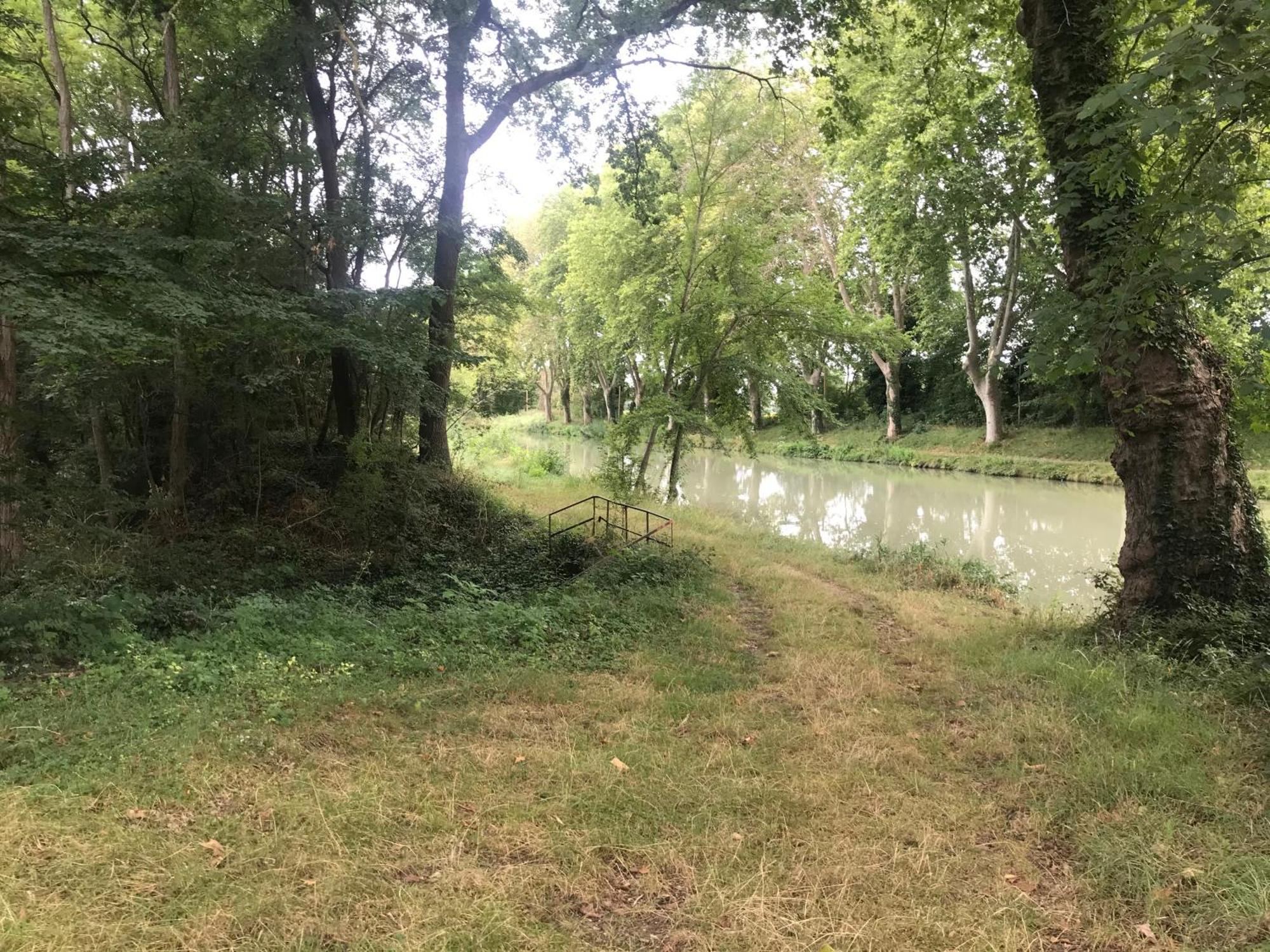 Bus Atypique Au Bord Du Canal Du Midi Et Au Coeur D'Une Foret 2 Chambres Villepinte  Экстерьер фото